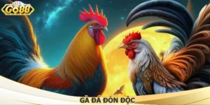 ga-da-don-doc